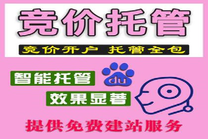 SEM运营推广助力企业业绩增长